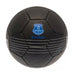 Everton FC React Skill Ball