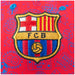FC Barcelona Junior Cap