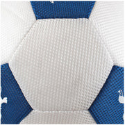 Tottenham Hotspur 14" Mesh Ball