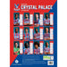 Crystal Palace FC A3 Calendar 2026