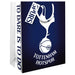 Tottenham Hotspur FC Medium Colour Gift Bag
