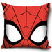Spider-Man Velvet Feel Cushion