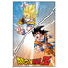 Dragon Ball Z Special Goku Poster 12