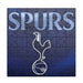 Tottenham Hotspur FC 50pc Junior Puzzle