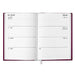 Aston Villa FC A5 Diary 2027