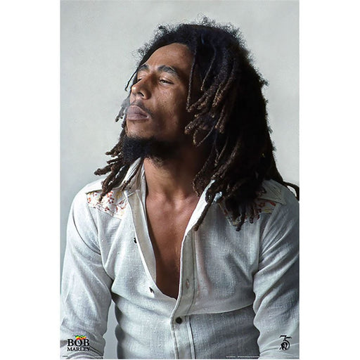 Bob Marley Poster Redemption 261 - Excellent Pick