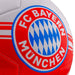 FC Bayern Munich Football - Excellent Pick