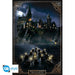 Harry Potter Poster Hogwarts Castle 113 - Excellent Pick