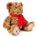 Liverpool FC Supersoft Classic Bear - Excellent Pick