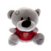 Arsenal FC Timmy Bear - Excellent Pick