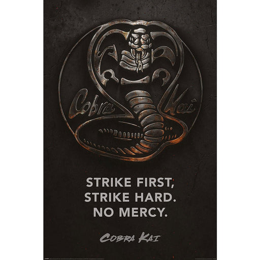 Cobra Kai Poster Metal 205 - Excellent Pick