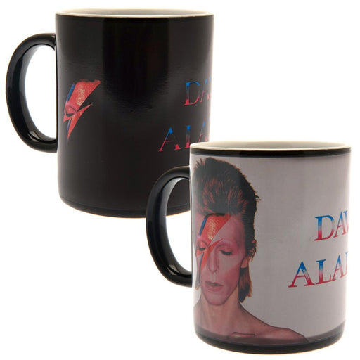 David Bowie Heat Changing Mug - Excellent Pick
