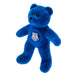 Everton FC Mini Bear - Excellent Pick
