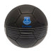 Everton FC Skill Ball RT - Excellent Pick