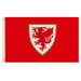 FA Wales Flag CC - Excellent Pick