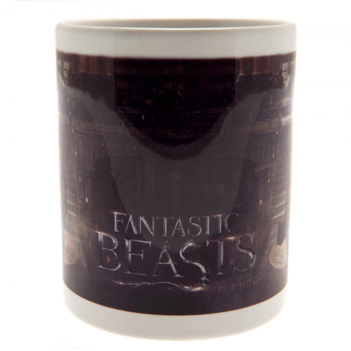 Fantastic Beasts Mug - Excellent Pick