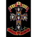 Guns N Roses Poster 242 - Excellent Pick