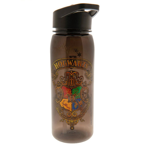 Harry Potter Flip Top Drinks Bottle - Excellent Pick