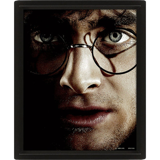 Harry Potter Framed 3D Picture - Excellent Pick