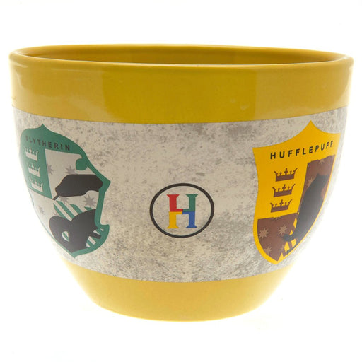 Harry Potter Huggy Mug - Excellent Pick