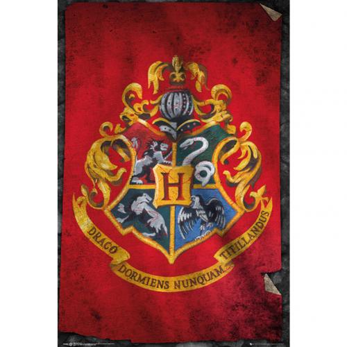 Harry Potter Poster Hogwarts 262 - Excellent Pick