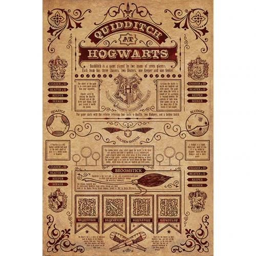 Harry Potter Poster Hogwarts Quidditch 173 - Excellent Pick