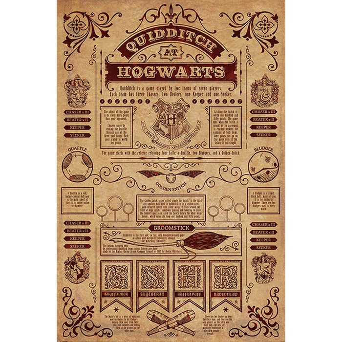 Harry Potter Poster, Quidditch At Hogwarts
