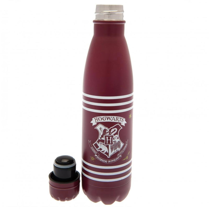 Harry Potter Thermal Flask - Excellent Pick