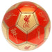 Liverpool FC Sig 26 Football - Excellent Pick