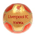 Liverpool FC Sig 26 Skill Ball - Excellent Pick