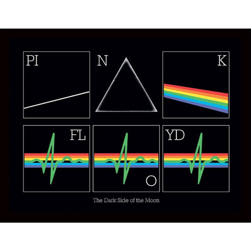 Pink Floyd Picture Heartbeat 16 x 12 - Excellent Pick