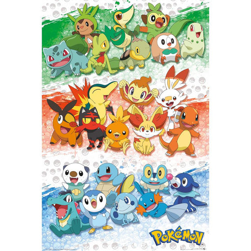 Pokemon Poster First Partners 144 - Excellent Pick