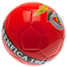 SL Benfica Football - Excellent Pick