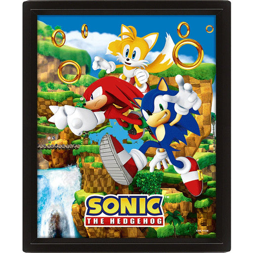 Sonic The Hedgehog Framed 3D Picture - Excellent Pick