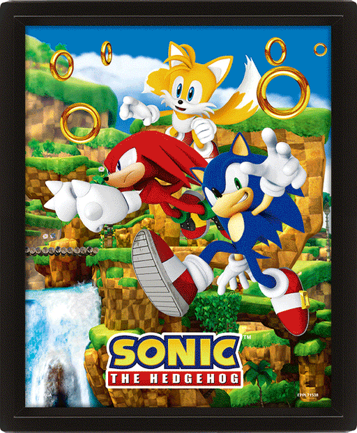 Sonic The Hedgehog Framed 3D Picture - Excellent Pick