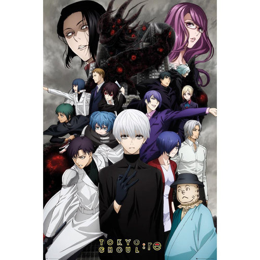 Tokyo Ghoul:RE Poster 292 - Excellent Pick