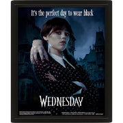 Wednesday Framed 3D Picture - Excellent Pick