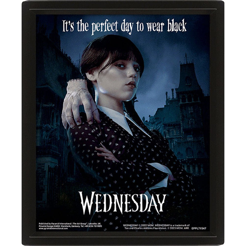 Wednesday Framed 3D Picture - Excellent Pick